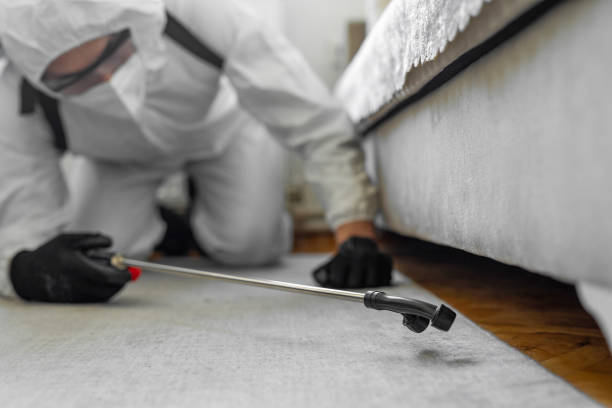 Professional Pest Control technician working in Delaware County County, PA